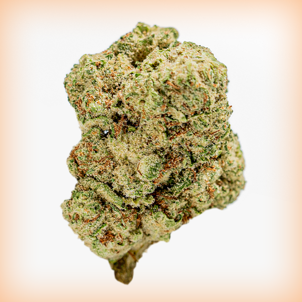 Apricot Mimosa