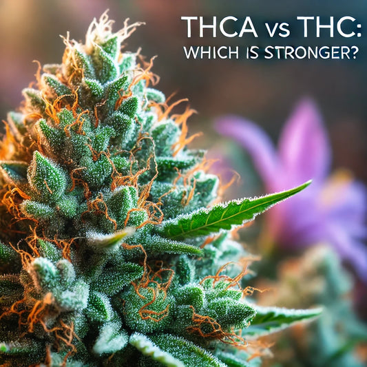 THCa vs THC: Which is Stronger and How Do They Compare?
