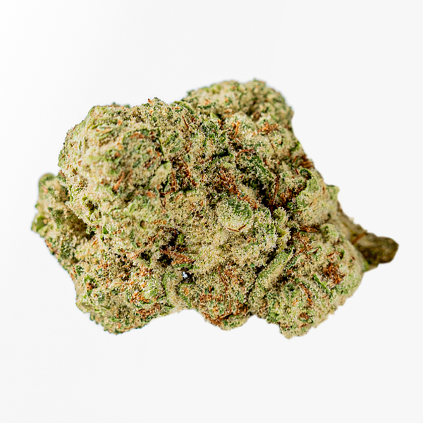 Apricot Mimosa