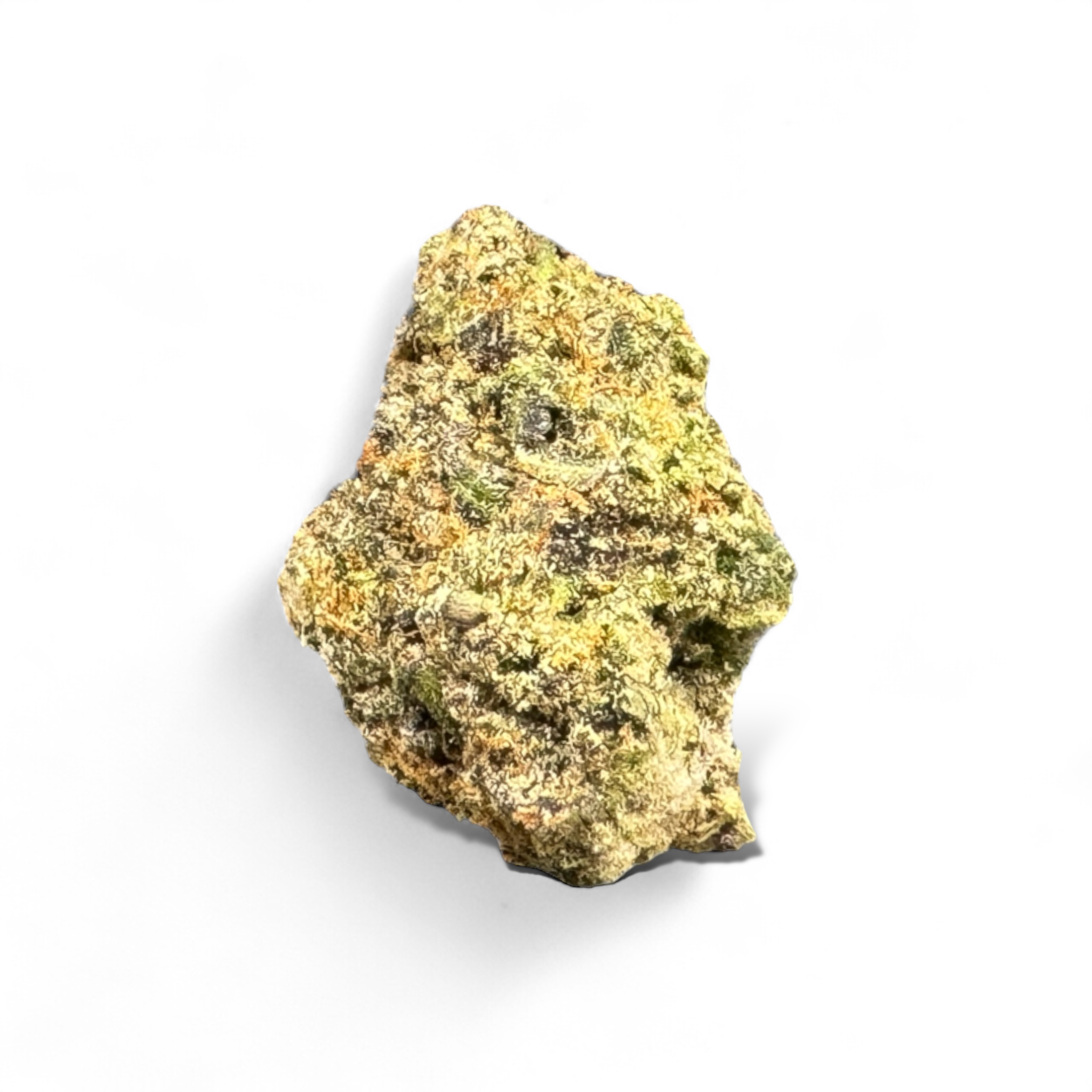 Gelato