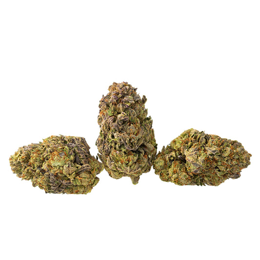 Gelato