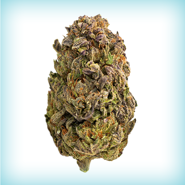 Gelato