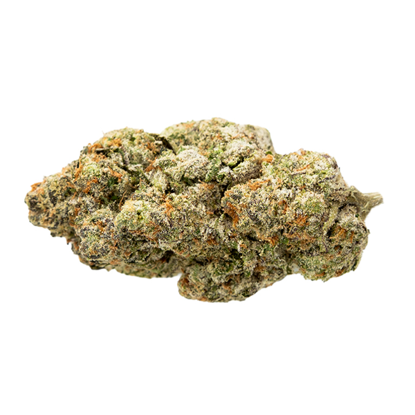 Gelato