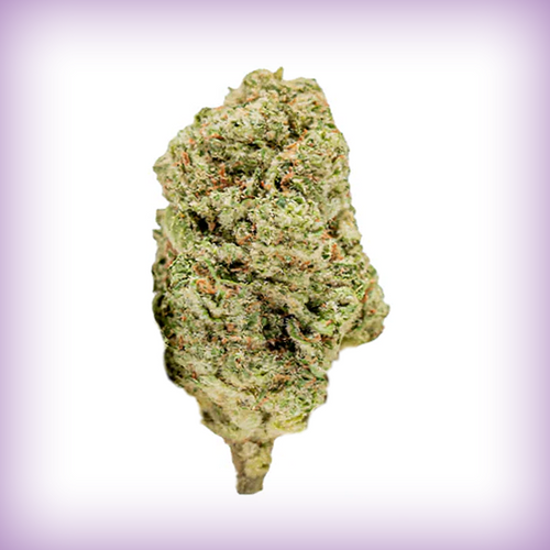 Northern Lights Haze