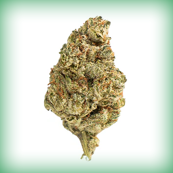 OG Kush