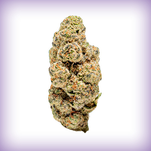 Purple Haze
