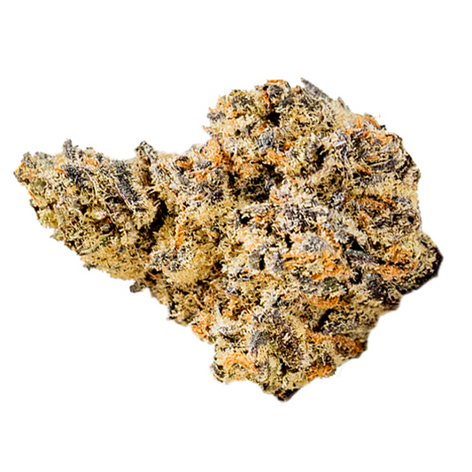 White Truffle