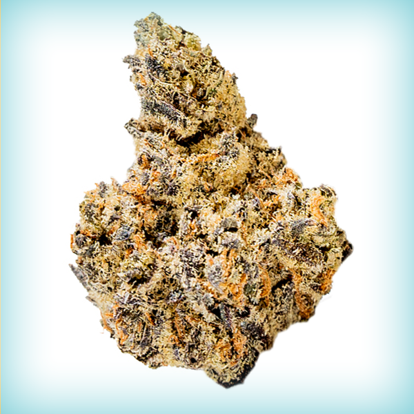 White Truffle
