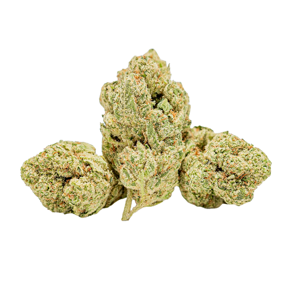 Gorilla Glue
